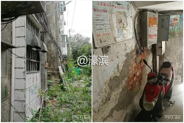 老破小、脏乱差？新桥新村是这样吗？