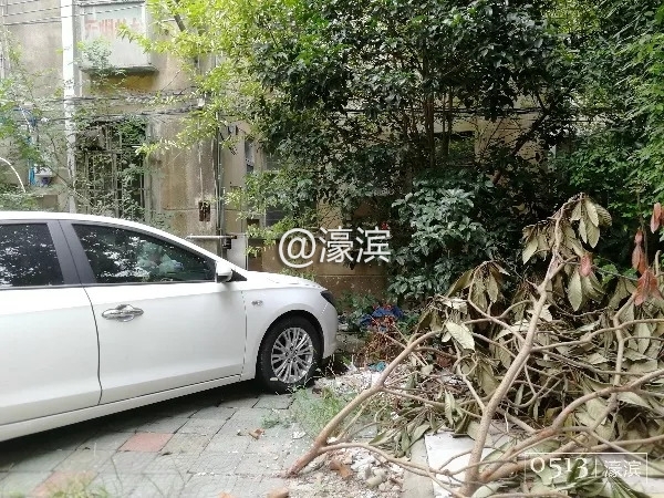 老破小、脏乱差？新桥新村是这样吗？