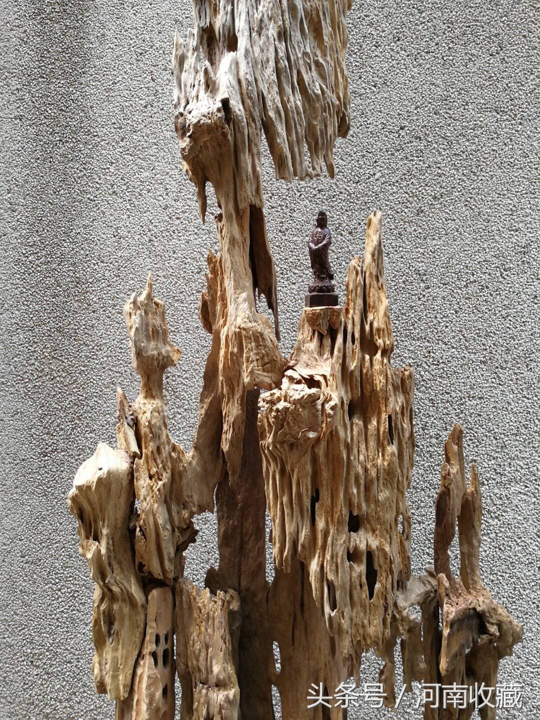 精品崖柏根雕大师级作品,史上最大的乌木根雕横空出世