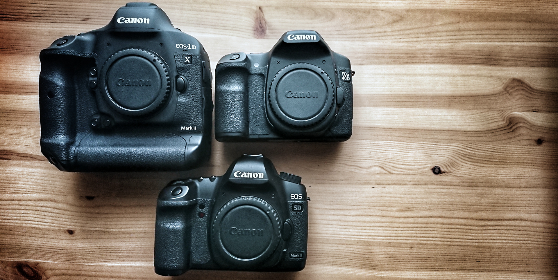 佳能历年发布机型,佳能23年入门新机