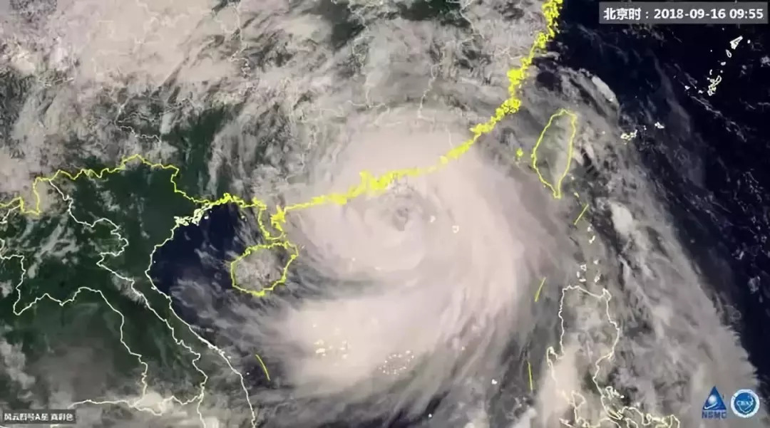 关于山竹的9个真相,山竹的危害到底有多大