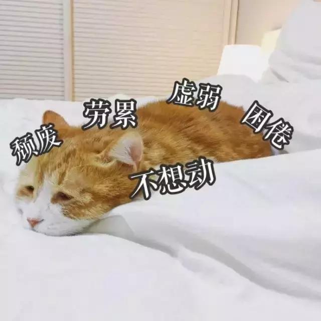 一扇门如何做到完全隔音,一扇门的隔音效果