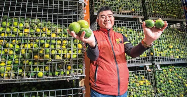 台湾神秘柠檬王，我们喝的手摇柠檬饮，每两杯就有一杯来自他