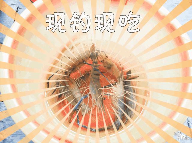 周末想去广州周边玩哪里好,周末想去海边玩去哪里