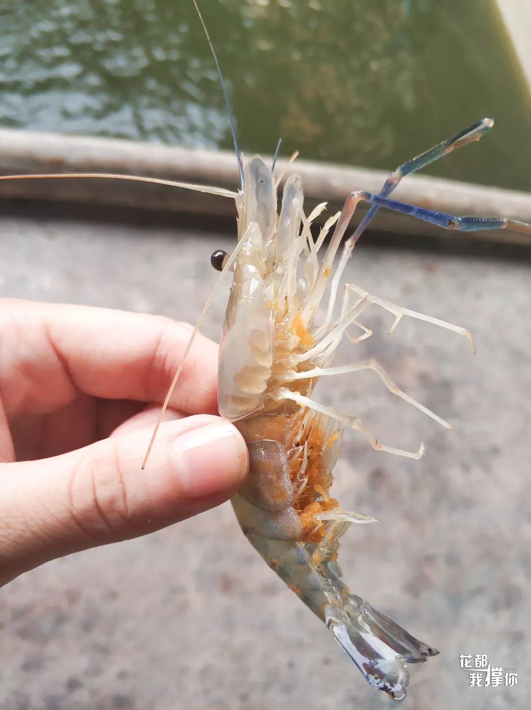 周末想去广州周边玩哪里好,周末想去海边玩去哪里