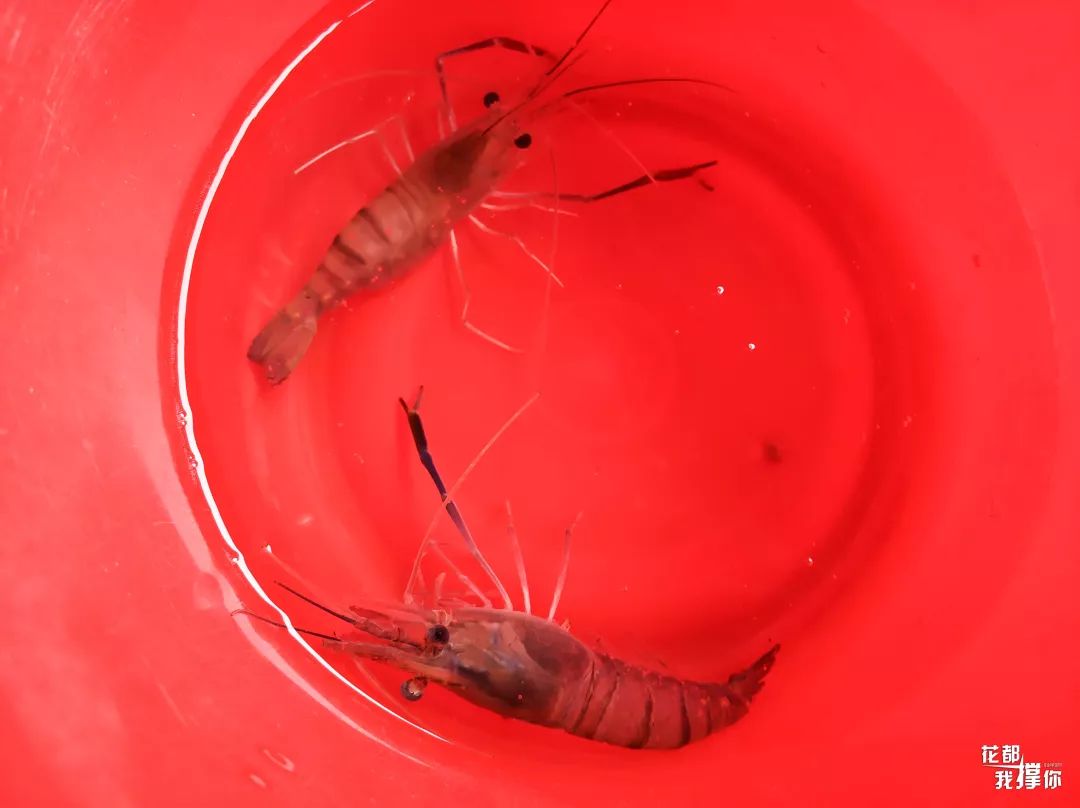 周末想去广州周边玩哪里好,周末想去海边玩去哪里