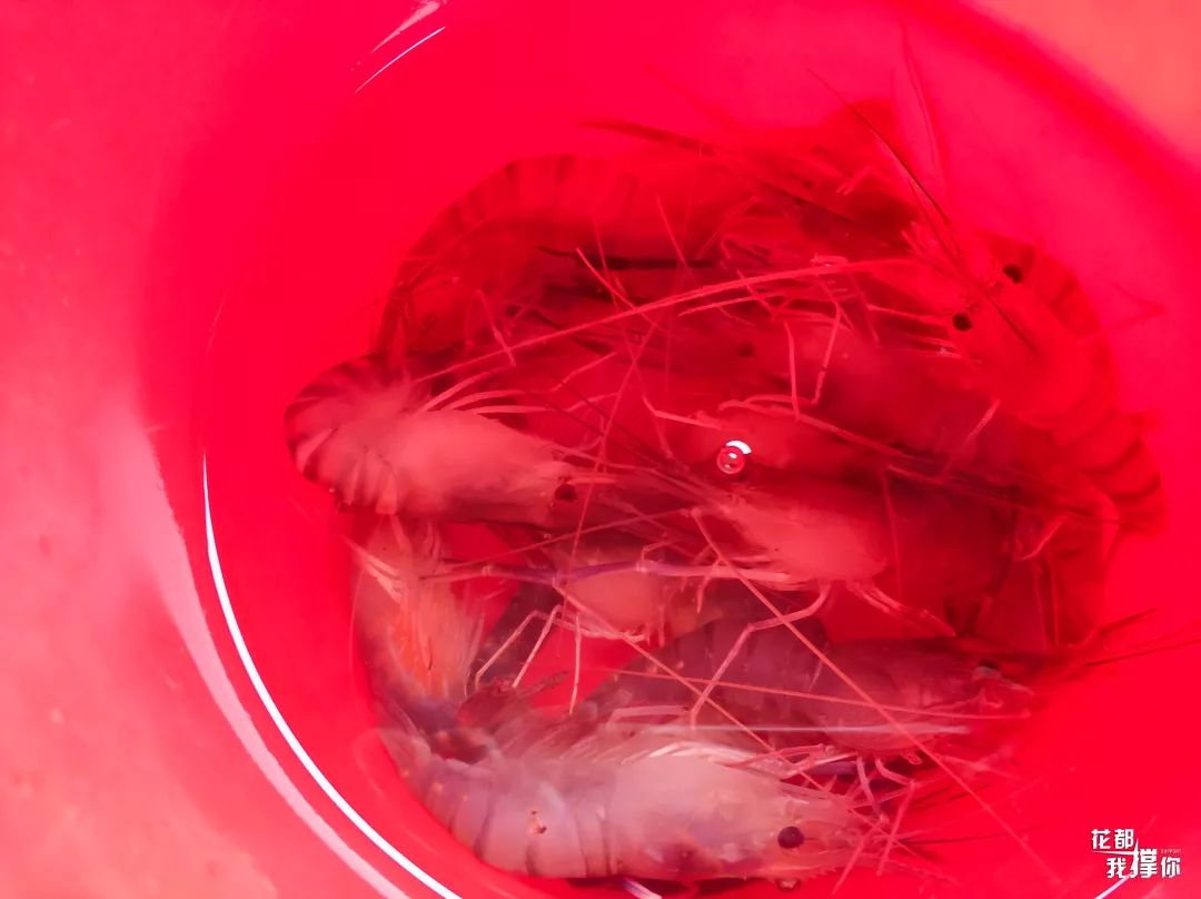 周末想去广州周边玩哪里好,周末想去海边玩去哪里