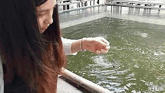 周末想去广州周边玩哪里好,周末想去海边玩去哪里