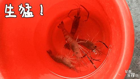 周末想去广州周边玩哪里好,周末想去海边玩去哪里