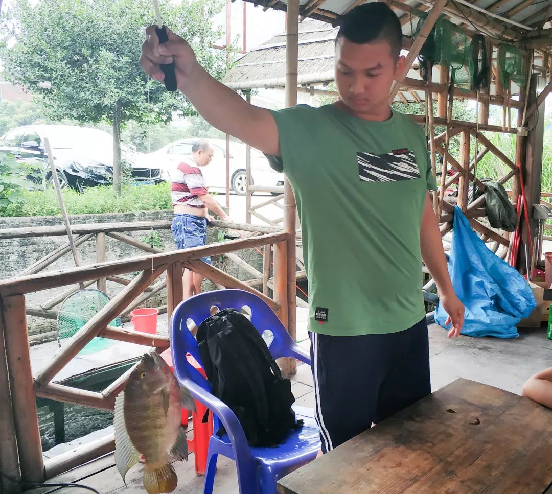 周末想去广州周边玩哪里好,周末想去海边玩去哪里