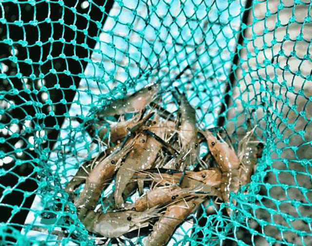 周末想去广州周边玩哪里好,周末想去海边玩去哪里