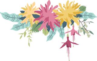 感恩您一路陪伴,感恩遇见久久陪伴