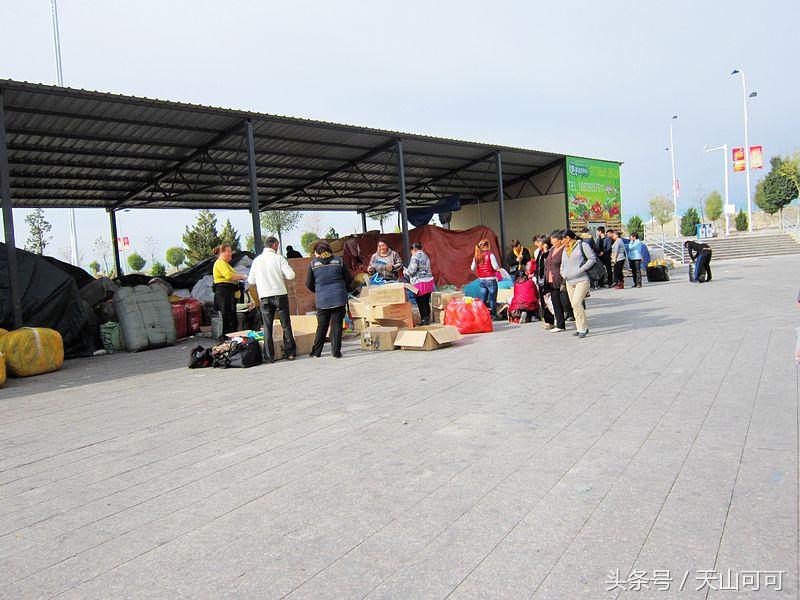 霍尔果斯口岸商机,霍尔果斯口岸做什么生意最挣钱