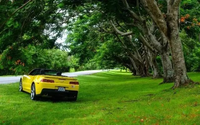 这才是顶级塞班岛,真实的海岛塞班