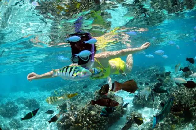 这才是顶级塞班岛,真实的海岛塞班