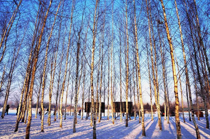 冰城伏尔加：“晴空下的雪域恋歌”让你知道旅行和旅游是两码事！