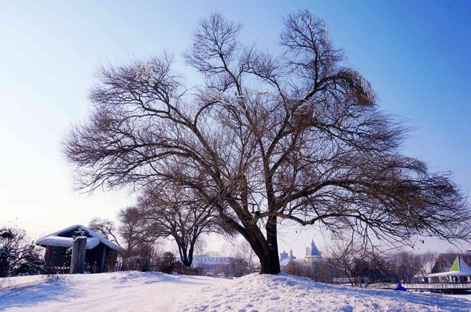 冰城伏尔加：“晴空下的雪域恋歌”让你知道旅行和旅游是两码事！