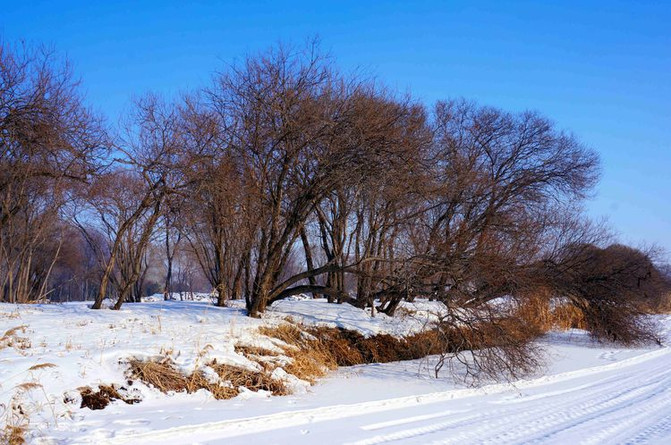 冰城伏尔加：“晴空下的雪域恋歌”让你知道旅行和旅游是两码事！