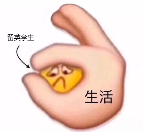 留英*党**才懂的内涵图！笑着流泪