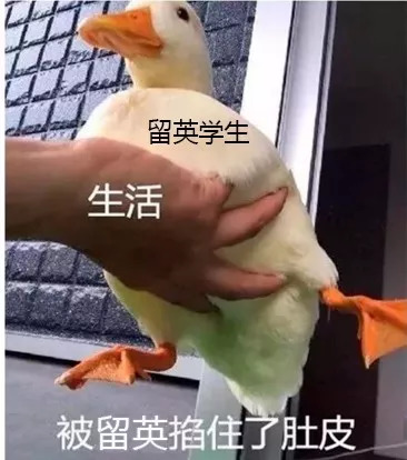 留英*党**才懂的内涵图！笑着流泪