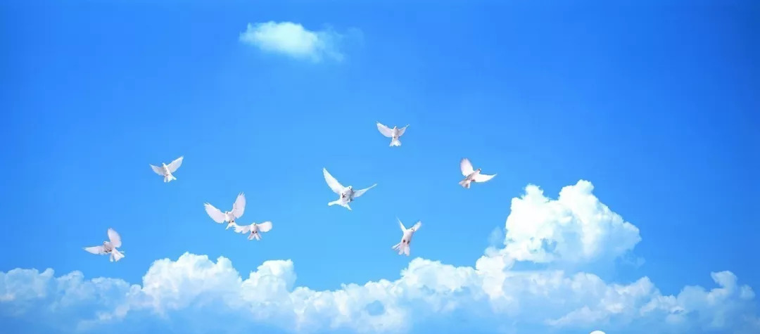 振兴社旗教育系列报道之二：朝气蓬勃稳步提升的县实验学校