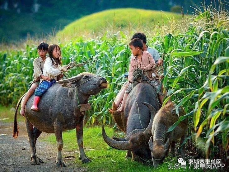 柬埔寨潜在危险,柬埔寨政治环境