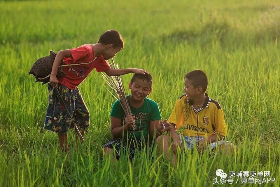 柬埔寨潜在危险,柬埔寨政治环境