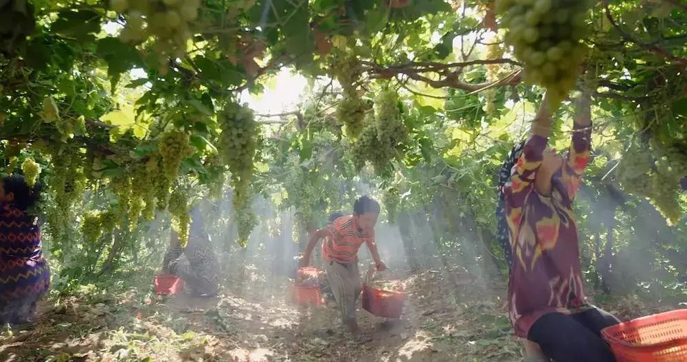 新疆风情游记探寻神秘的西域风光,媲美伊犁的地方