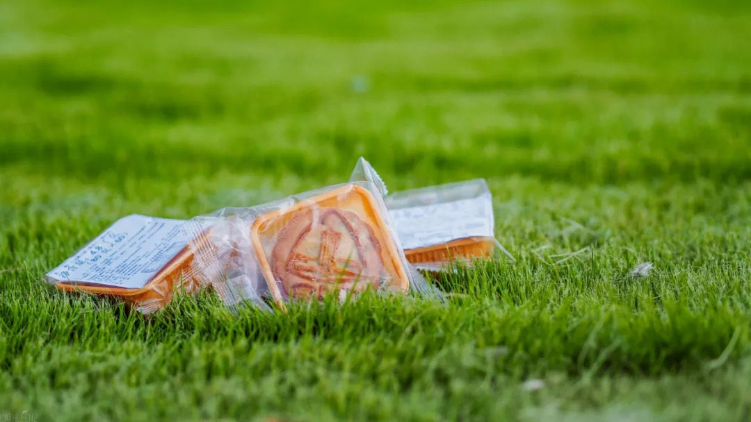 多口味！刚上市的华政logo月饼有点儿好吃！（福利文～）