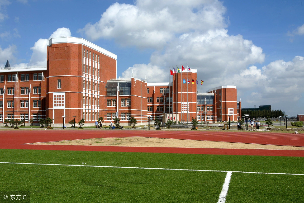 蘑菇管理定律来源,管理定律及点评