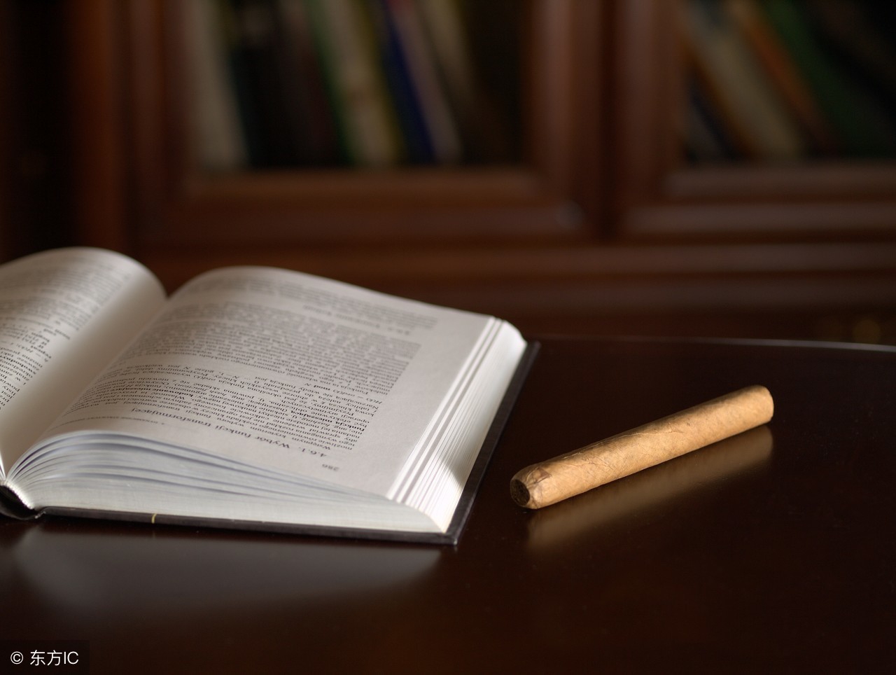 蘑菇管理定律来源,管理定律及点评