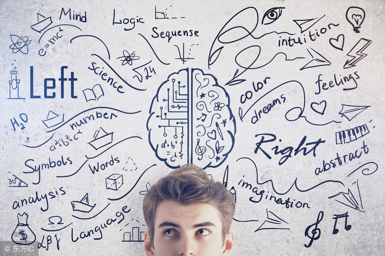 蘑菇管理定律来源,管理定律及点评