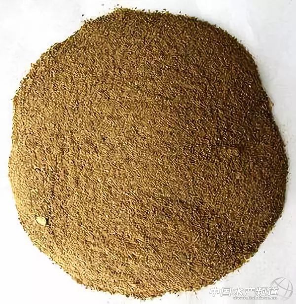 水产养殖中微生物制剂都有哪些,水产微生态制剂使用原则和方法