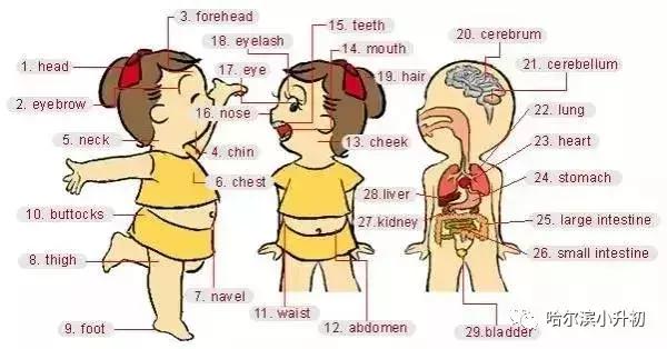 34张图记住英语中所有生活用词,太实用啦!