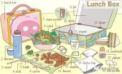 34张图记住英语中所有生活用词,太实用啦!