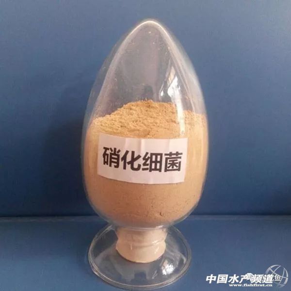 水产养殖中微生物制剂都有哪些,水产微生态制剂使用原则和方法