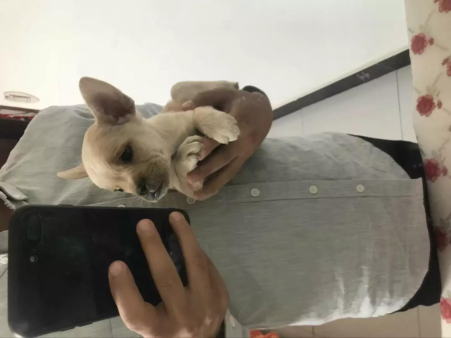 老闷儿山东话,老闷儿是什么