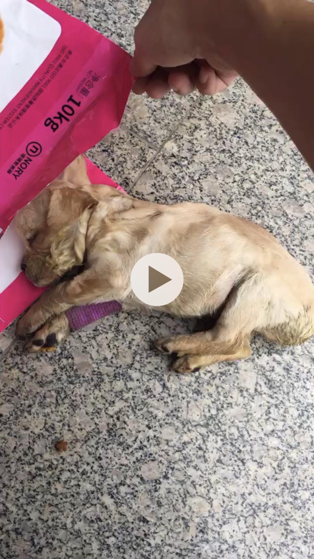 老闷儿山东话,老闷儿是什么