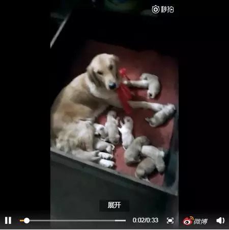 「蜀黍周趣闻」爆笑!收到2米多高代购清单的男子代购回来啦!