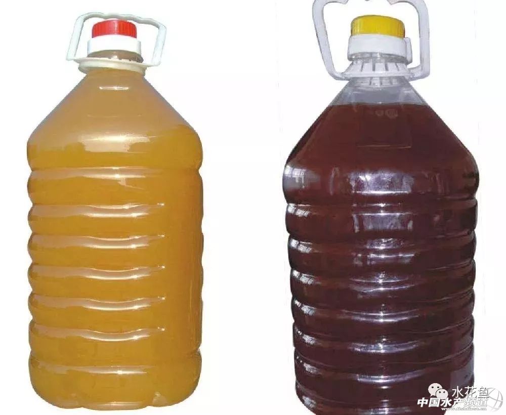 水产养殖中微生物制剂都有哪些,水产微生态制剂使用原则和方法