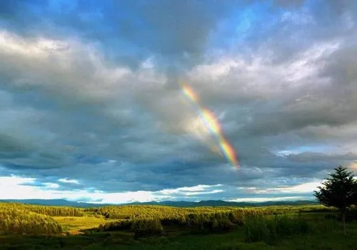 人们怎么预测台风,古人怎样预测天气预报