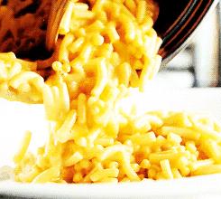 芝士力量完整版,芝士力量系列