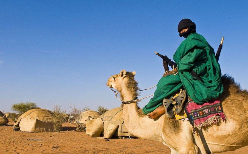 芝士力量完整版,芝士力量系列