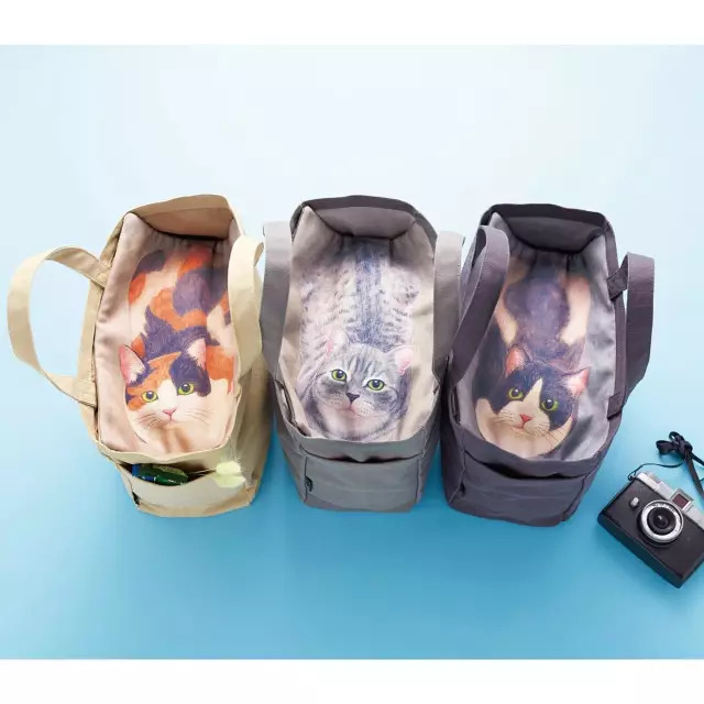 日本人家里东西太多,日本必备10种东西