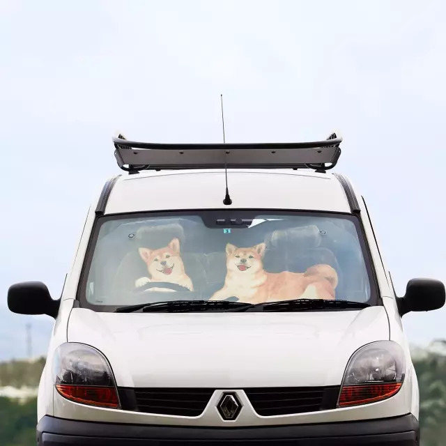 日本人家里东西太多,日本必备10种东西