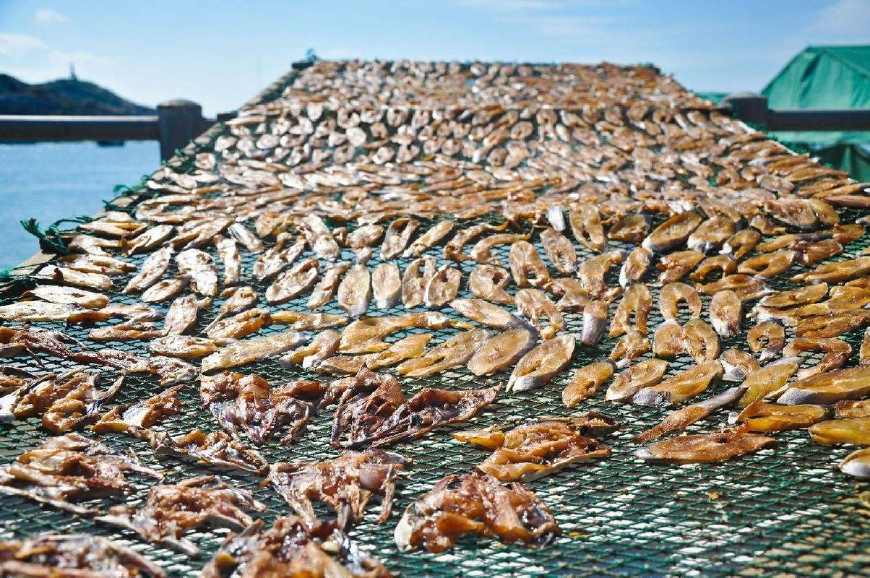 山东哪的海鲜最好吃,山东海边好吃的海鲜