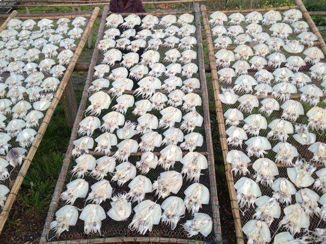 山东哪的海鲜最好吃,山东海边好吃的海鲜