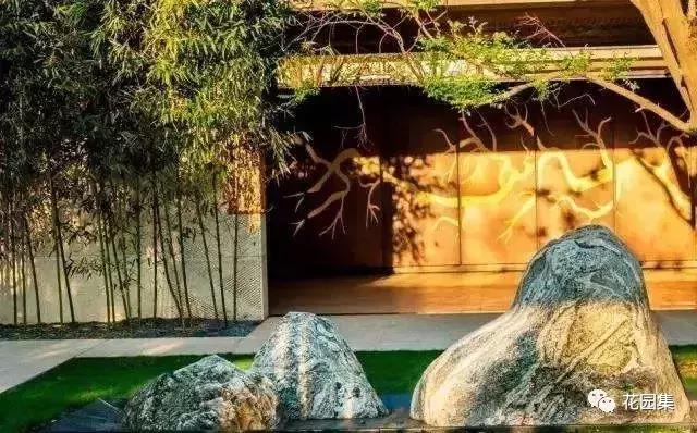 庭院栽什么树风水好,庭院风水讲究怎么讲