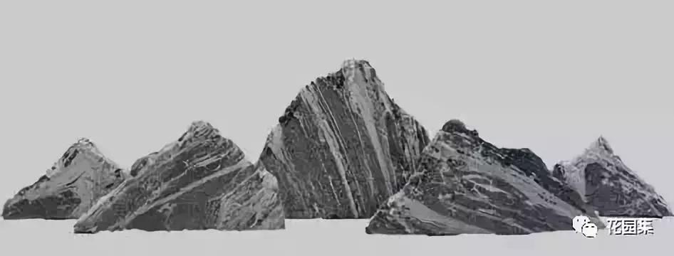 庭院栽什么树风水好,庭院风水讲究怎么讲