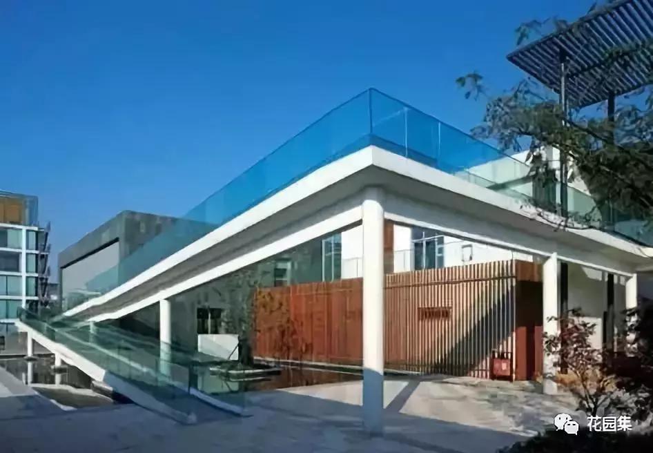 庭院栽什么树风水好,庭院风水讲究怎么讲